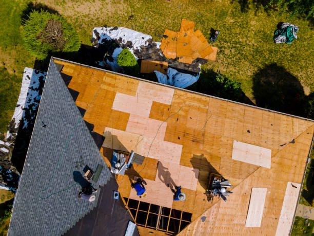 Best Roof Gutter Cleaning  in New York Mills, MN