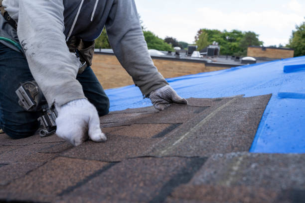 Best Commercial Roofing Services  in New York Mills, MN